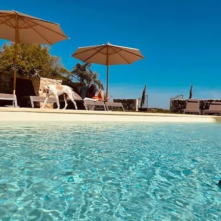 Dome Insolite Cedre Jacuzzi Et Petits Dejeuners Inclus *