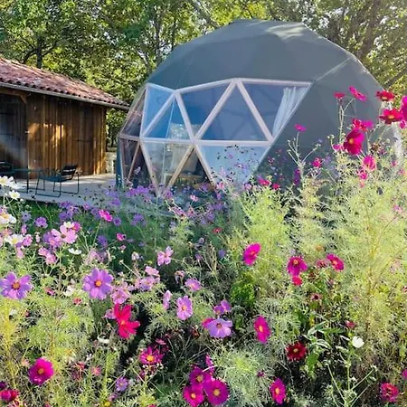 Dome Insolite Cedre Jacuzzi Et Petits Dejeuners Inclus Luxury tent