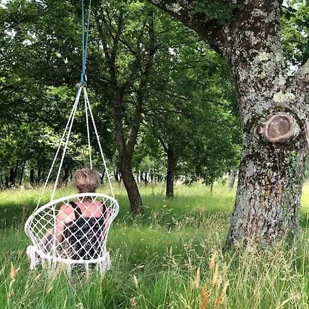 Dome Insolite Cedre Jacuzzi Et Petits Dejeuners Inclus *