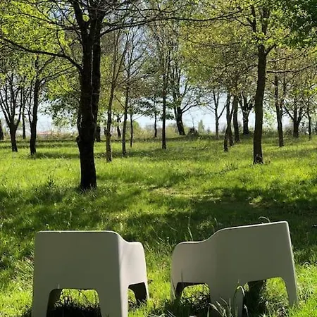 Dome Insolite Cedre Jacuzzi Et Petits Dejeuners Inclus