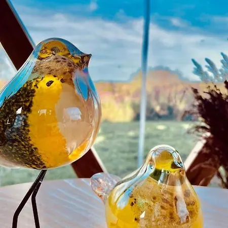 Luksustelt Dome Insolite Cedre Jacuzzi Et Petits Dejeuners Inclus