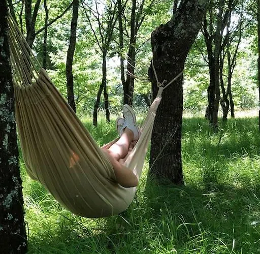 Dome Insolite Cedre Jacuzzi Et Petits Dejeuners Inclus ラグジュアリーテント *