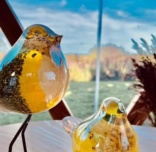 ラグジュアリーテント Dome Insolite Cedre Jacuzzi Et Petits Dejeuners Inclus