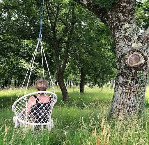 Dome Insolite Cedre Jacuzzi Et Petits Dejeuners Inclus *