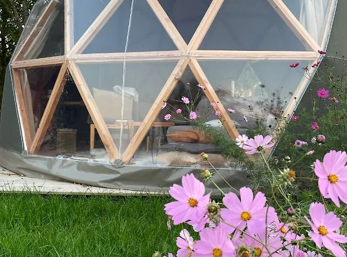 Dome Insolite Cedre Jacuzzi Et Petits Dejeuners Inclus ラグジュアリーテント